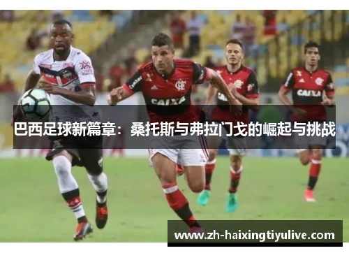 巴西足球新篇章:桑托斯与弗拉门戈的崛起与挑战 巴西足球新篇章:桑托斯与弗拉门戈的崛起与挑战