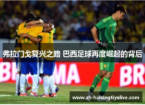 弗拉门戈复兴之路 巴西足球再度崛起的背后 弗拉门戈复兴之路 巴西足球再度崛起的背后