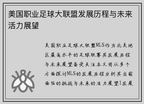 美国职业足球大联盟发展历程与未来活力展望